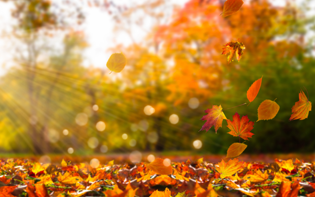 7 Holiday Health and Safety Tips